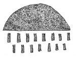 Drawing by Thomas Doty. Image.