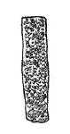 Drawing by Thomas Doty. Image.