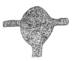 Drawing by Thomas Doty. Image.
