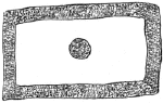 Drawing by Thomas Doty. Image.