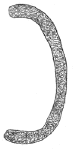 Drawing by Thomas Doty. Image.