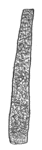 Drawing by Thomas Doty. Image.