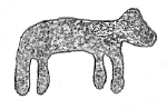 Image.