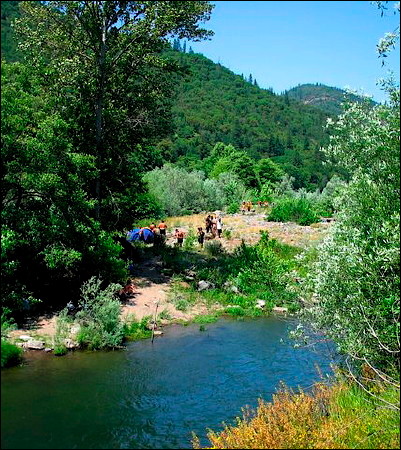 Sacred Salmon Ceremony. Photo.