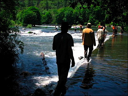 Sacred Salmon Ceremony. Photo.