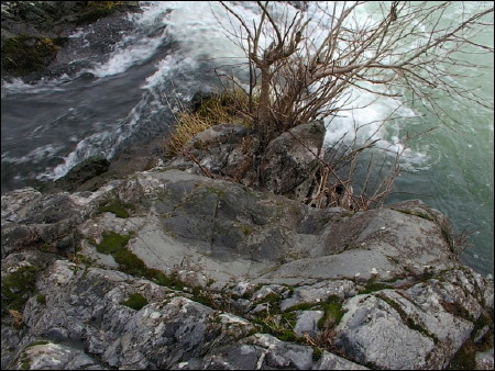 Photo.