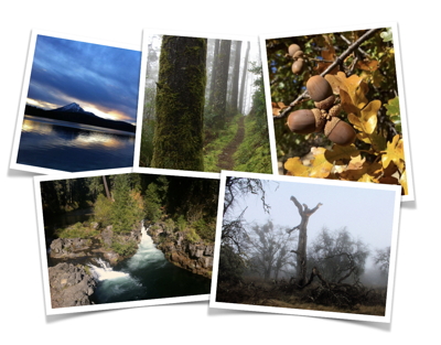 Landscapes. Image.