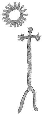 Drawing by Thomas Doty. Image.